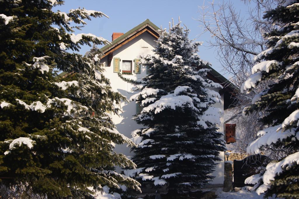 Pensjonat Nostalgia Sosnowka  Exterior photo
