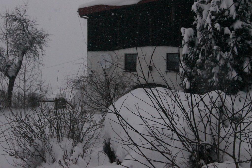 Pensjonat Nostalgia Sosnowka  Exterior photo